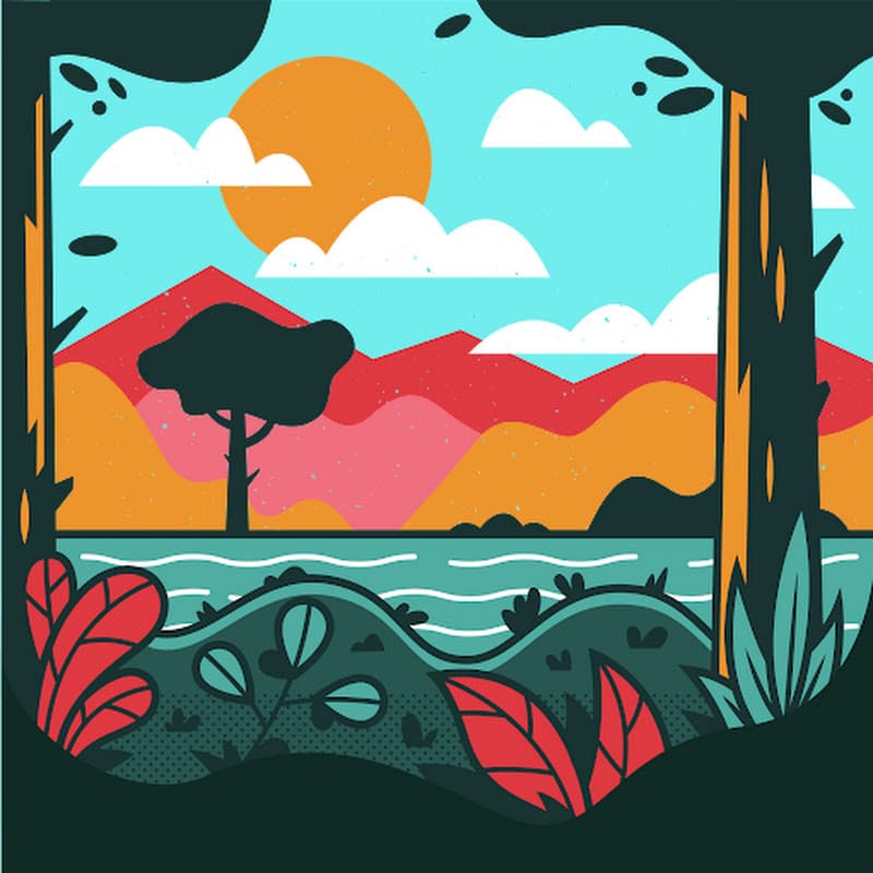 Diksha Mittal Mittal