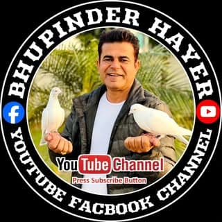 Bhupinder Hayer🕊