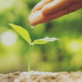 Agriculture knowledge