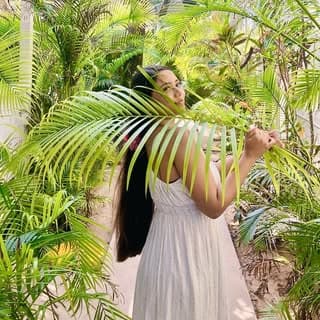 Kattrina Dey