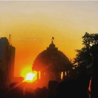 tn50ofcl💫♥️( 18 k )