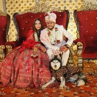 Arpit goyal