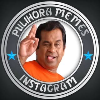 pulihora memes