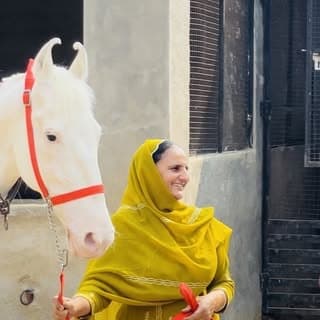 jot farm(ਘੋੜੀਆਂ ਵਾਲੇ)