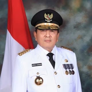 Arinal Djunaidi