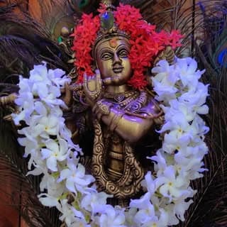 Gokul Thonippallam