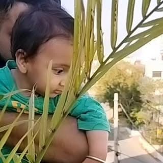 Redhan Aggarwal
