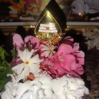 Thilo Vasanthi
