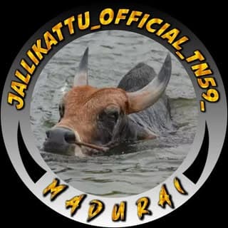 jallikattu_