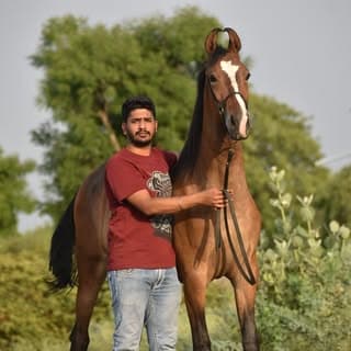 Mohit Paliwal
