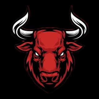 ???? ????? ????? ????????