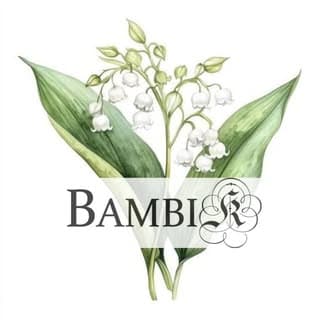 Bambi K Bridals and Formals