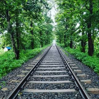nilambur tourism