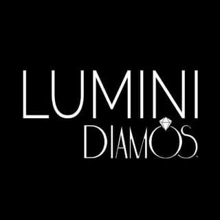 Designer Jewellery/Accessories