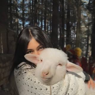 ?_ھَبِی٘بِی٘_عِفِّي٘_?