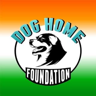 Dog Home Foundation