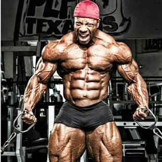 BODY BUILDERS LIFE