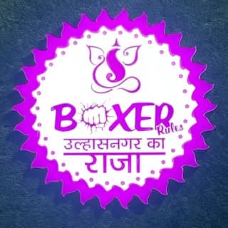 BoxerRules Ulhasnagar Ka Raja