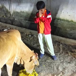 Maa Guest House Seva