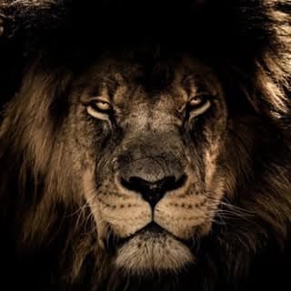 Arjun Singh Kalsi | Mindset