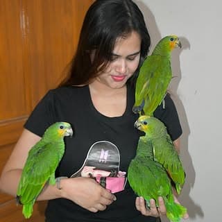 Aatreyee Bhattacharya