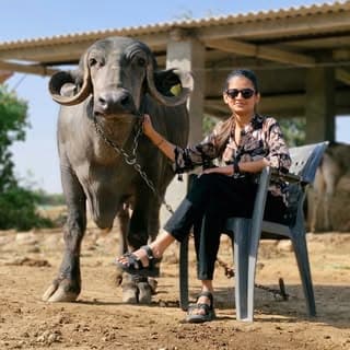 Krishna Goswami