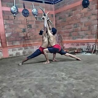Kalari Sadhana