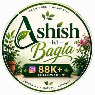 Ashish Ki Bagia