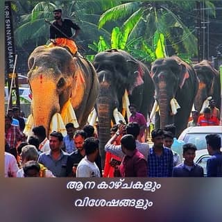Aana Kazhchakalum Viseshangalum