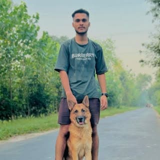 Vidit kamboz