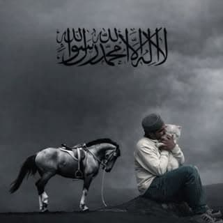 Kashmir Creator