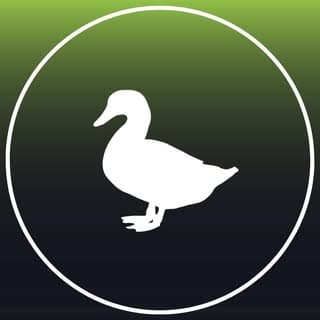 Duck Investments ?