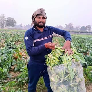 Manish Mourya