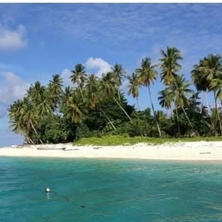 Beautiful_ Papua_Melanesia