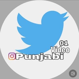Punjabi videos