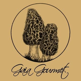 Chinu/ Shilarna Vaze