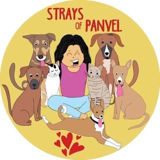 Strays_of_Panvel