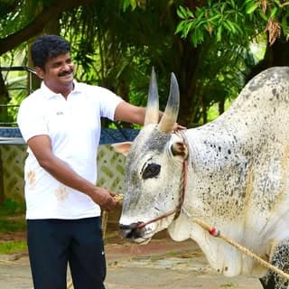 Dr.C.Vijayabaskar