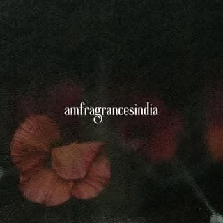 ꜱᴘʀᴀʏ.ꜱʟᴀʏ.ꜱᴛᴀʏ