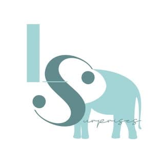 Love Surprises | Wedding Planner & Designer