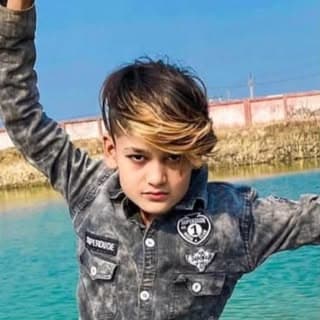 Chota Tiger