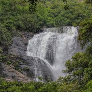 Tenkasi Life
