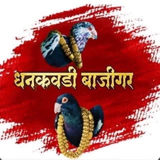 स्वताः धनकवडी बाजीगर 🕊️👑♥️