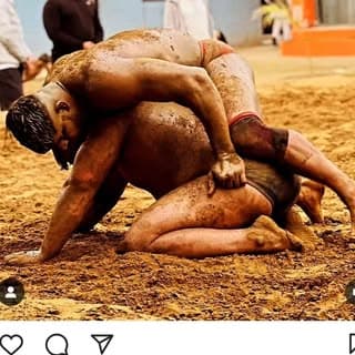 kushti live Himachal